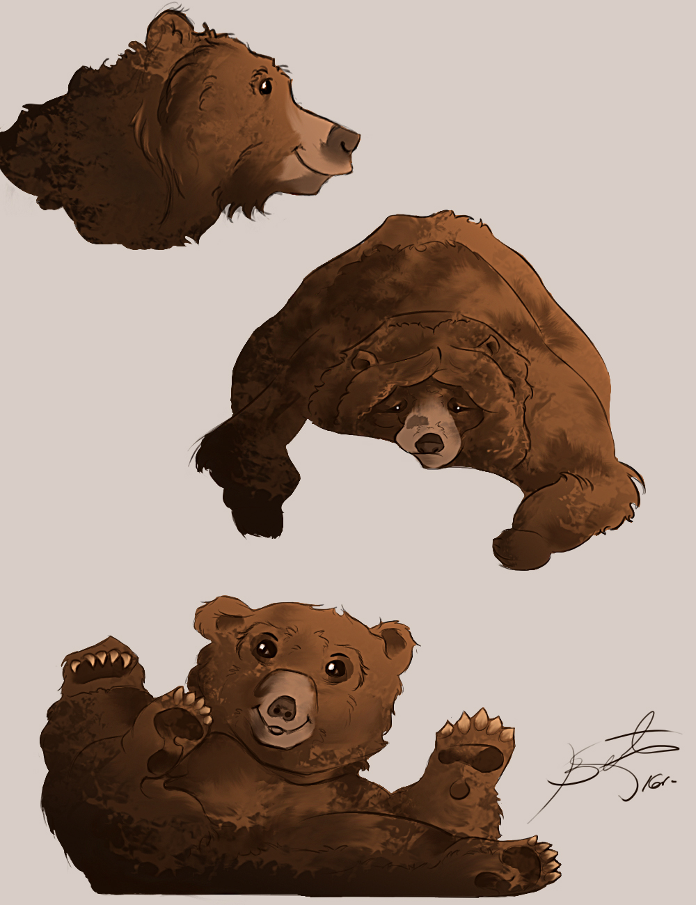 Bear-1